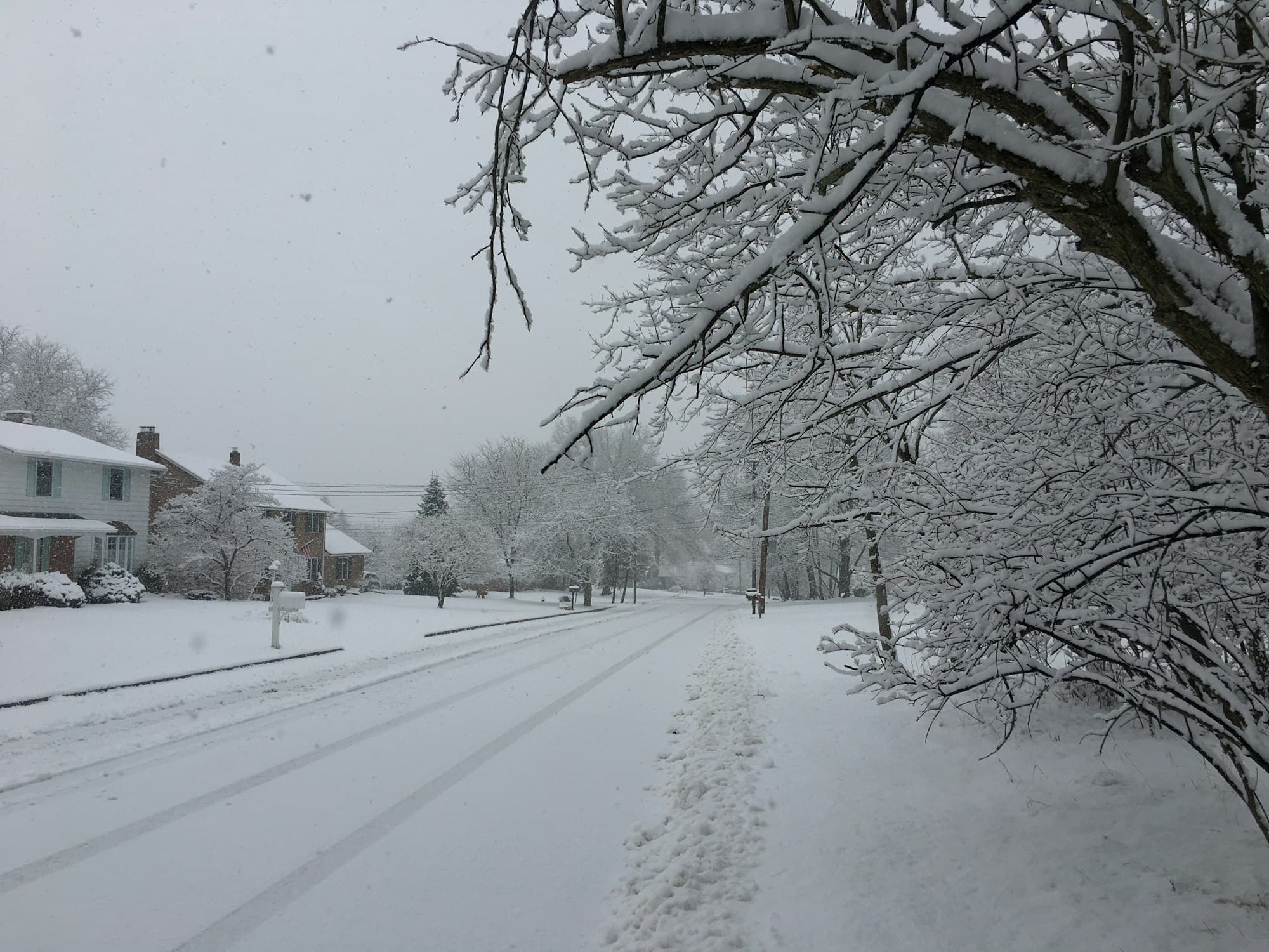 Snow-covered residential street lined with houses and bare trees